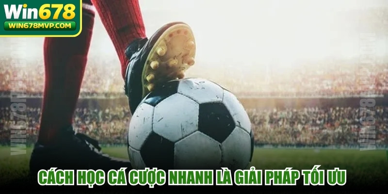 Cách học cá cược nhanh là giải pháp tối ưu dành cho mọi người