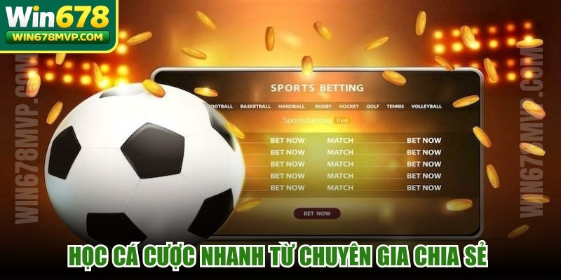 Học cá cược nhanh từ chuyên gia chia sẻ để dự đoán chính xác
