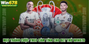 Mẹo Tránh Cược Theo Cảm Tính